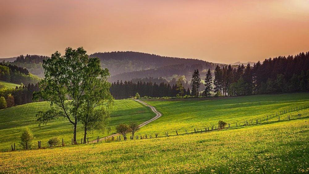 Wiesen, Hügel, Wälder und Nebel im Sauerland - ideal für freie Trauungen