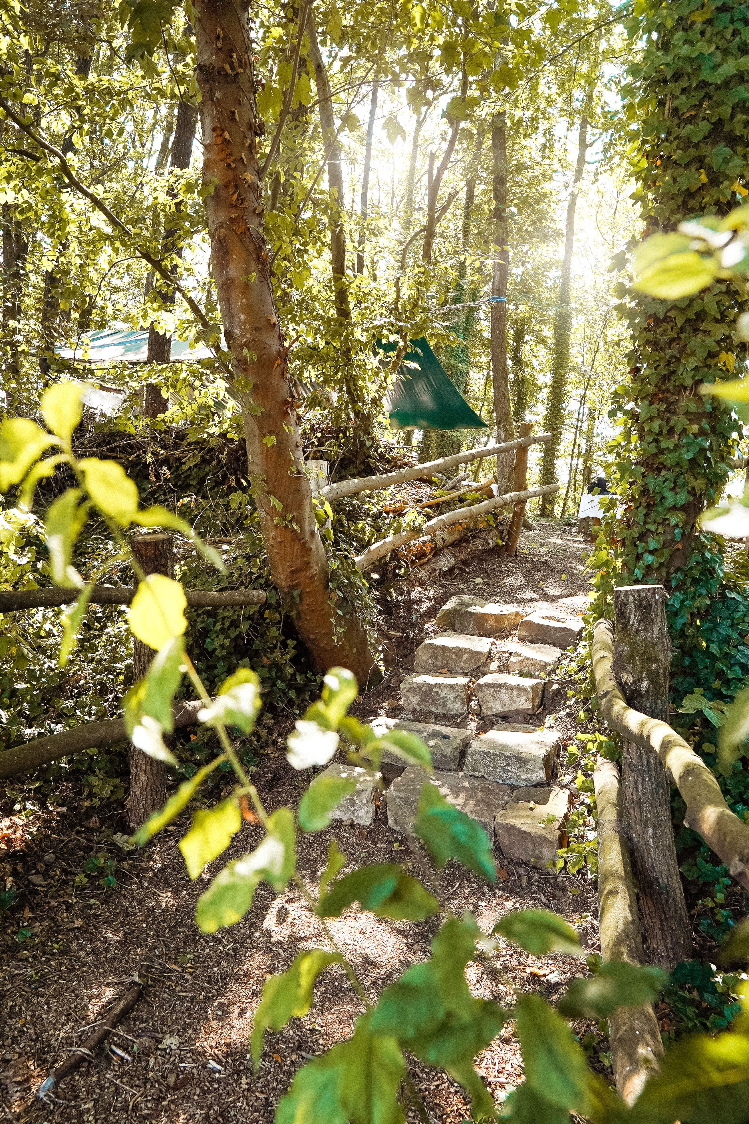 Romantischer Waldweg zur freien Trauung im TrauWald der Hochzeitslocation Hotel Sportalm Gipfelglück in NRW