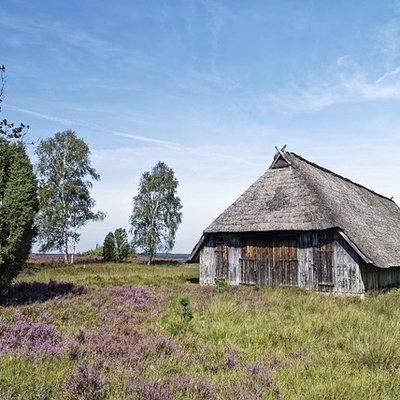 Reetgedecktes historisches Gebäude in der blühenden Lüneburger Heide.