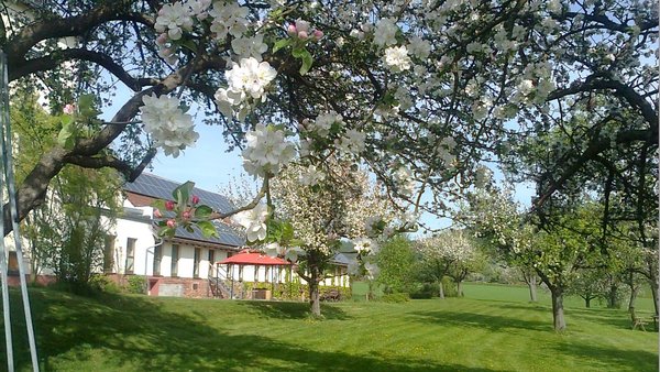Hochzeitslocation Alter Obstkeller