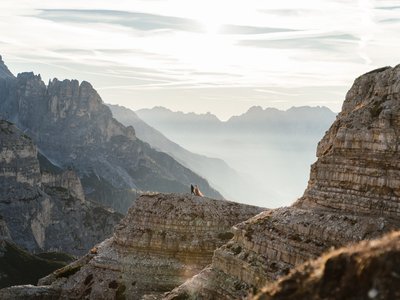 Anna Mardo Hochzeitsfotografie