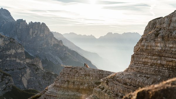 Hochzeitsfotograf Anna Mardo Hochzeitsfotografie