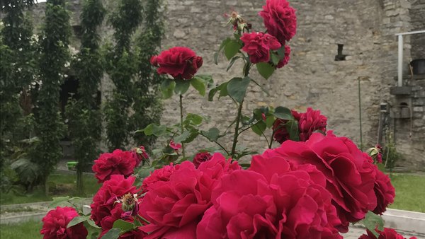 Hochzeitslocation Burg Arnstein