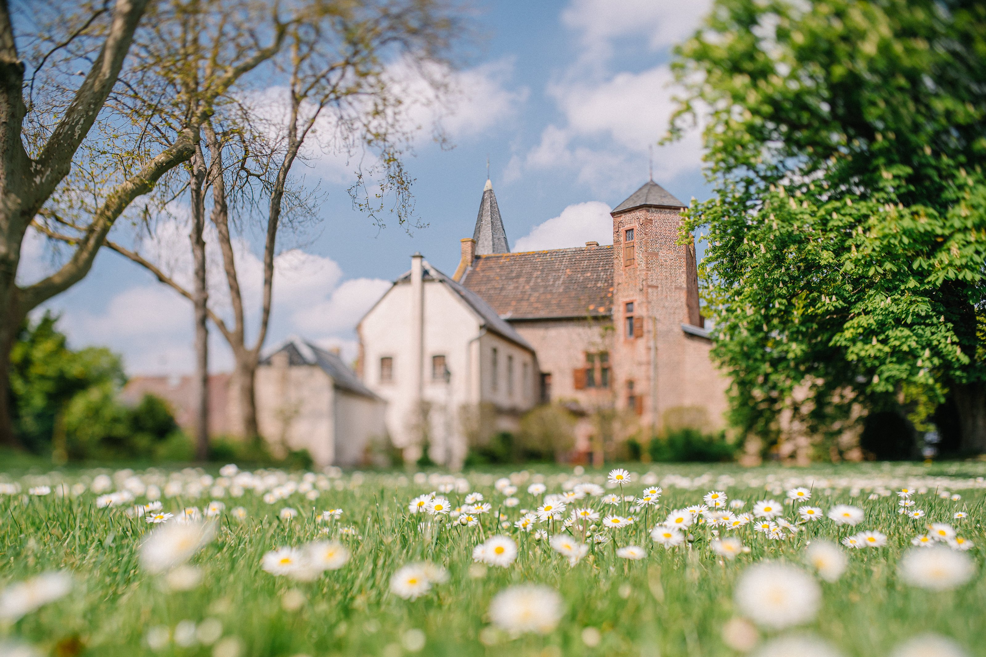 Hochzeitslocation Burg Bubenheim