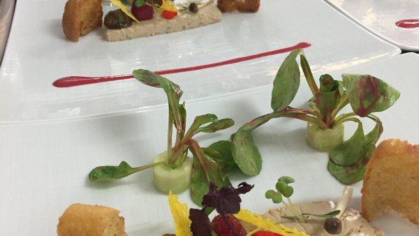 Hochzeitslocation Chili event house auf Amönenhöhe