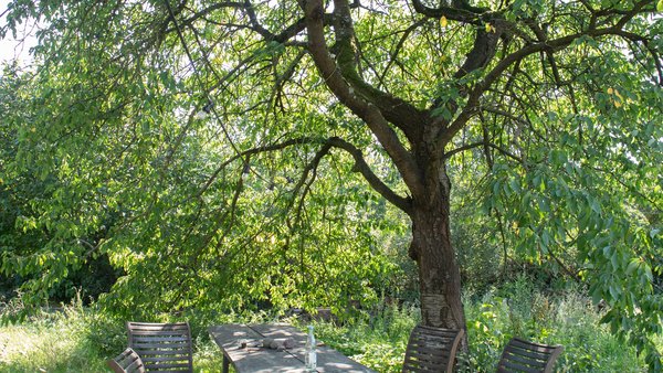 Hochzeitslocation DAS-GUT Alte Rittergutsbrennerei