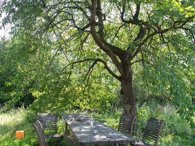 DAS-GUT Alte Rittergutsbrennerei