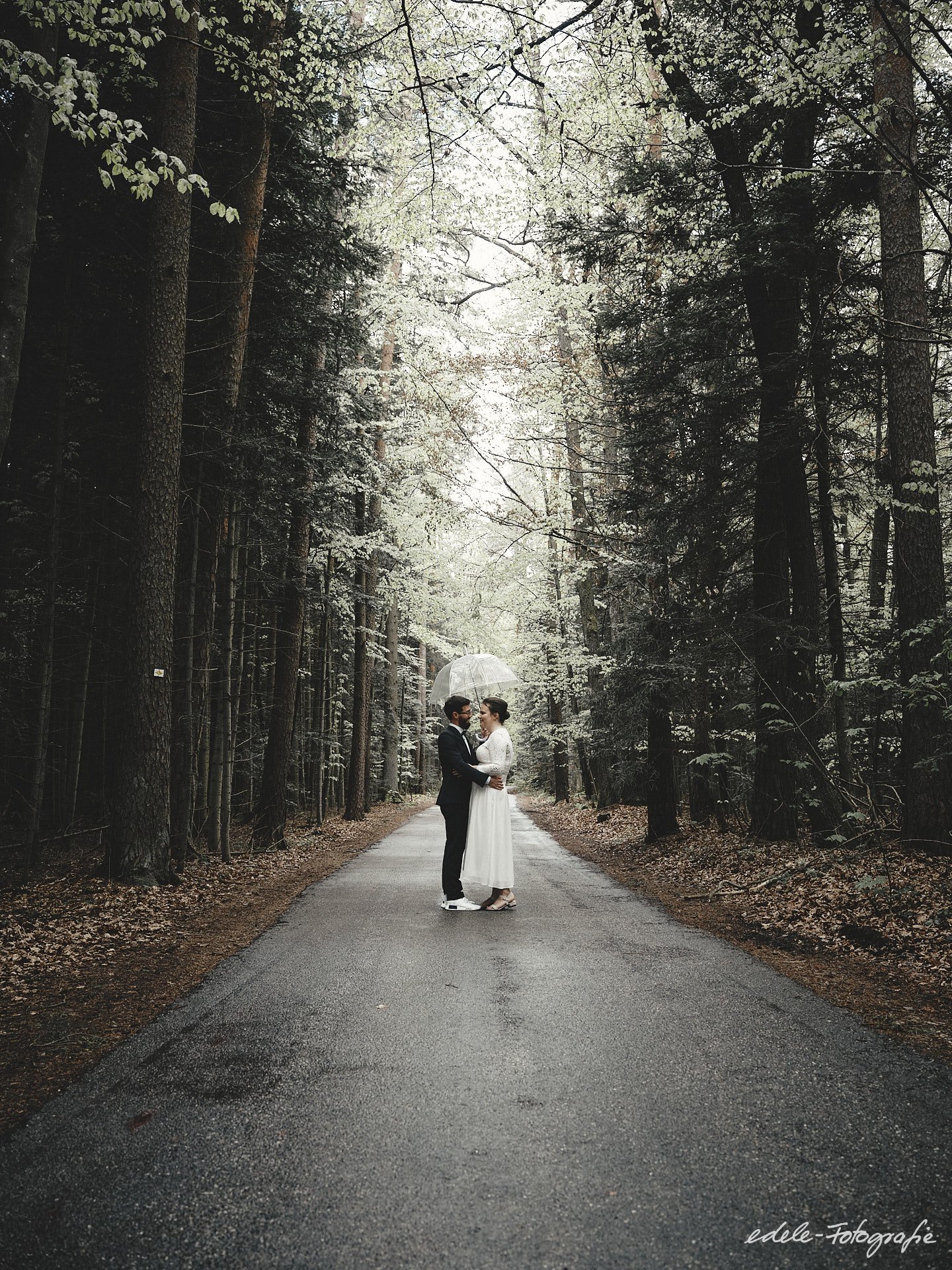 Hochzeitsfotograf Daniel Edele