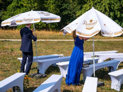 Der Hochzeitsreporter