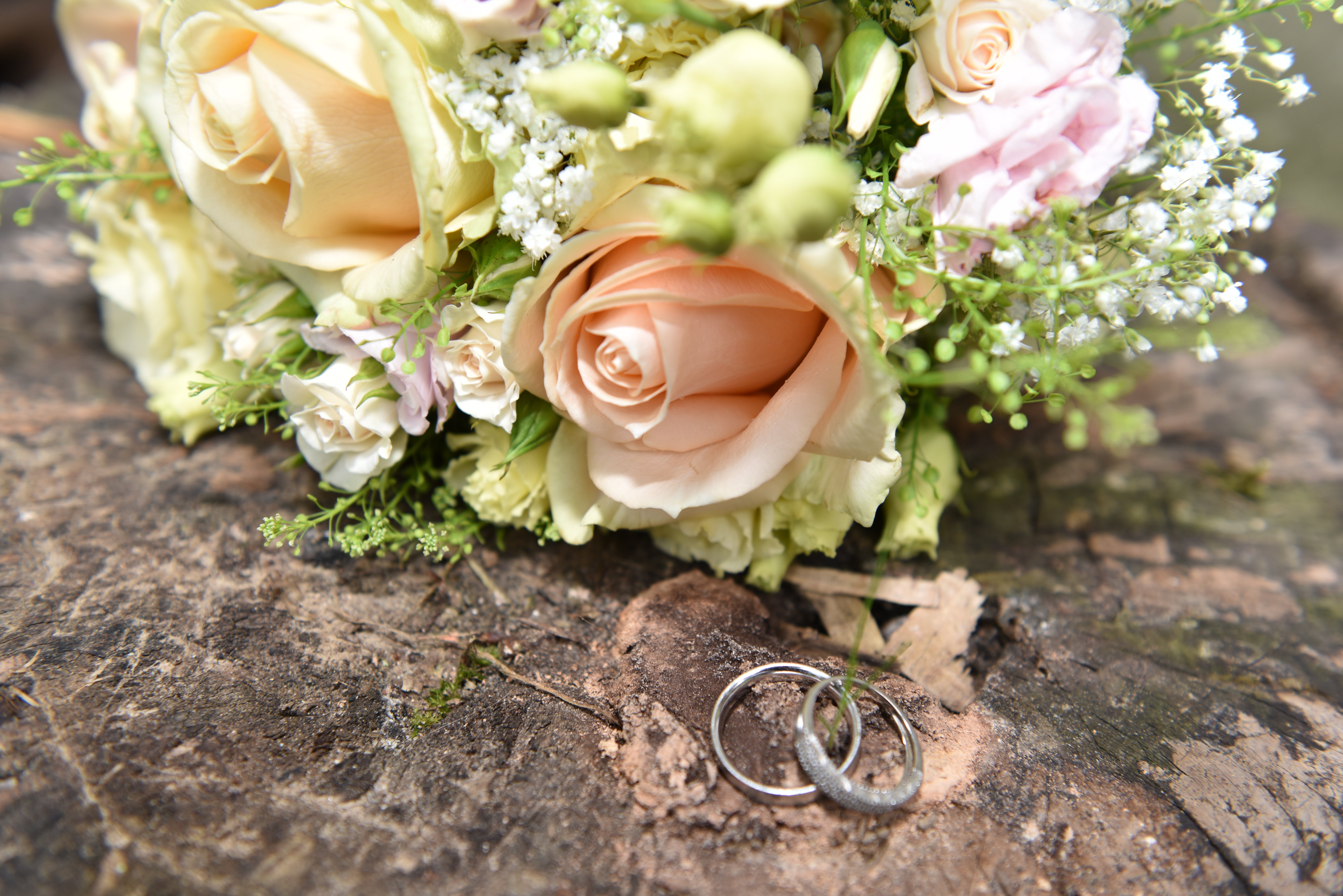 Hochzeitsfotograf Die Hochzeitsfotografin