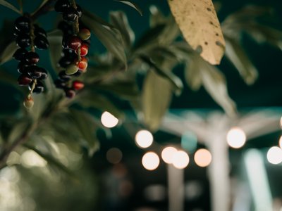 Eva und Filip | MORE Photography.de