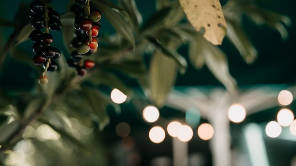 Hochzeitsfotograf Eva und Filip | MORE Photography.de