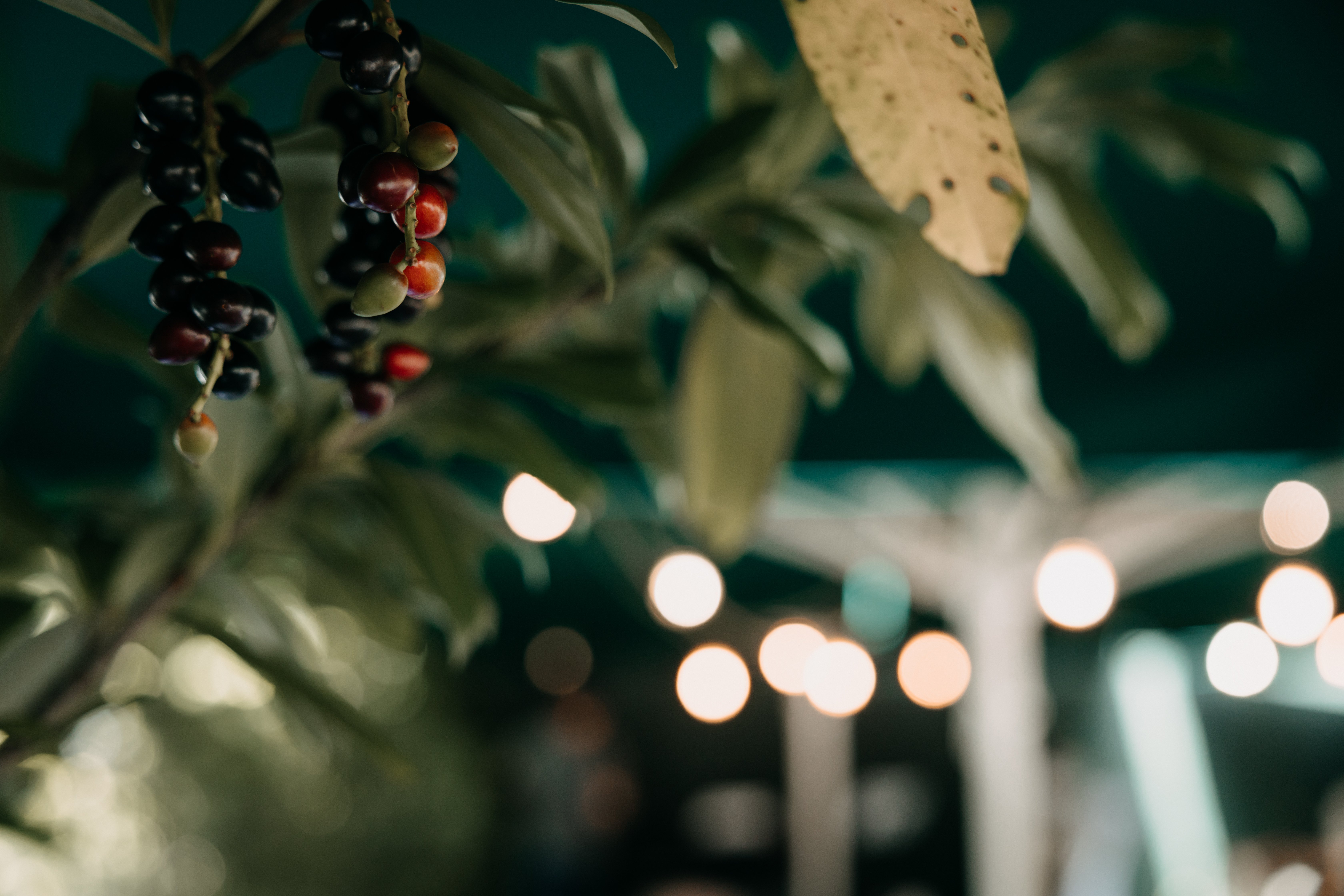 Hochzeitsfotograf Eva und Filip | MORE Photography.de