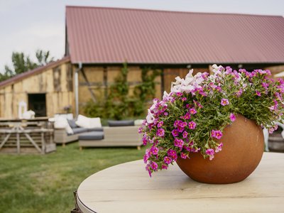 Feldscheune Schöbendorf