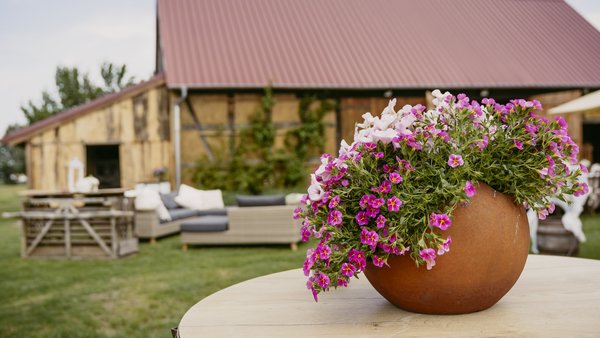 Hochzeitslocation Feldscheune Schöbendorf