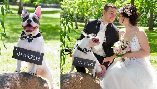 Hochzeitsfotograf Foto für Dich