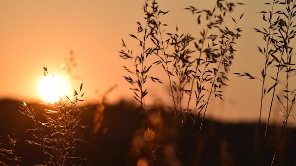 Hochzeitsfotograf Fotografie Willing Ellrich