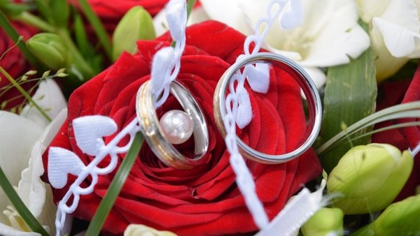 Hochzeitsfotograf Fotografie Willing Ellrich