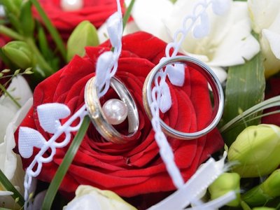 Fotografie Willing Ellrich