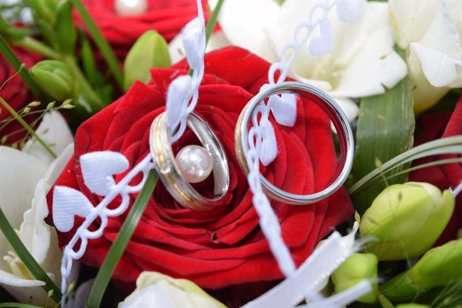 Hochzeitsfotograf Fotografie Willing Ellrich