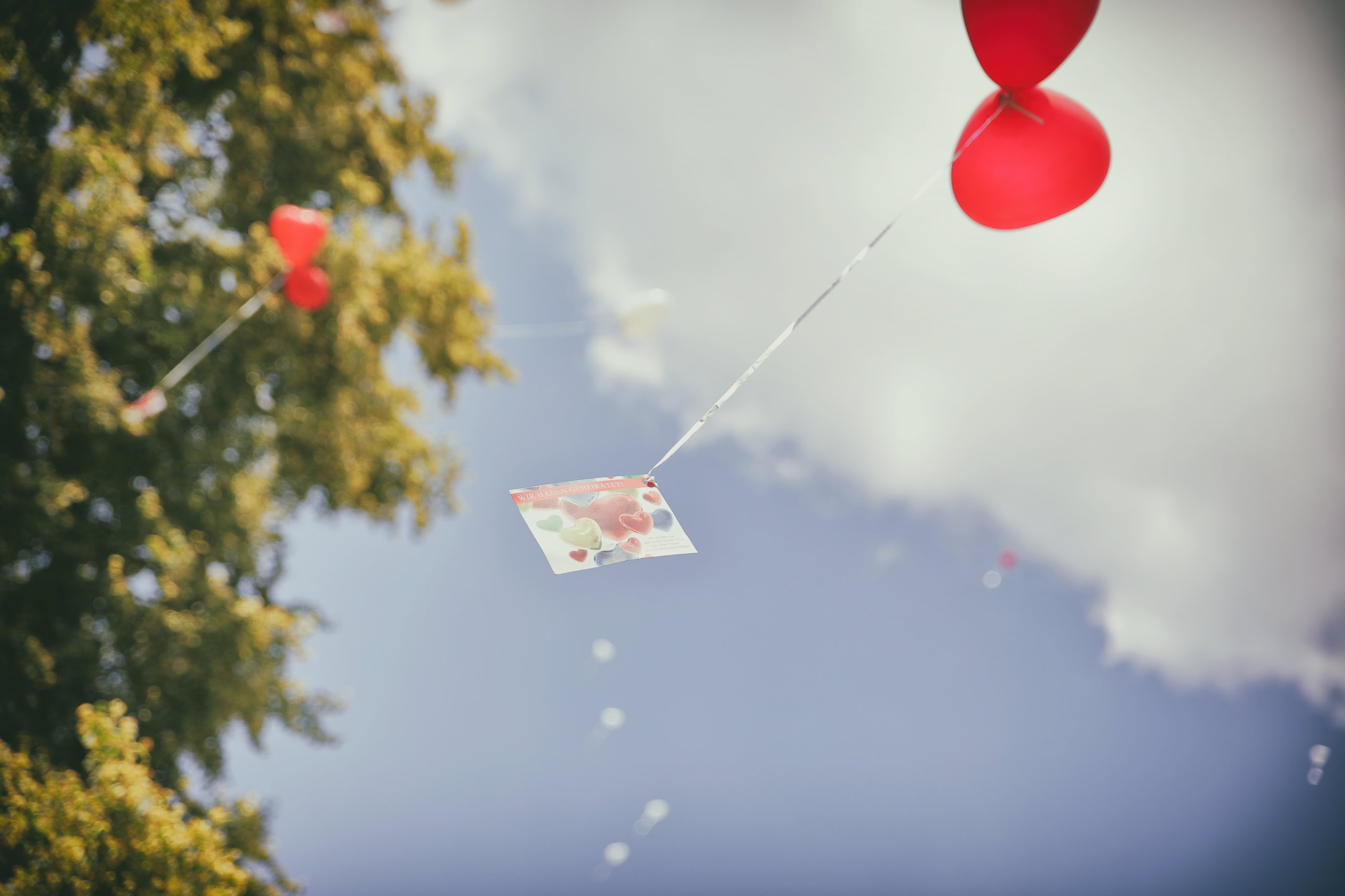 Hochzeitsfotograf Frank Prekratic