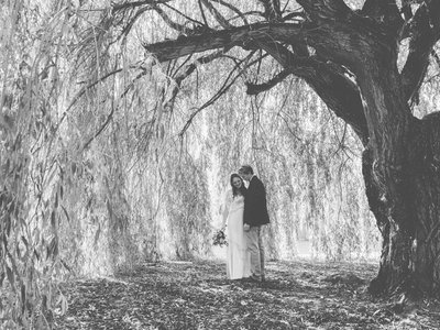 Gartenglück Wegendorf