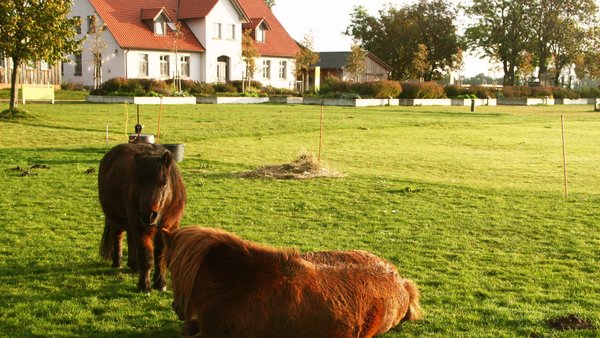 Hochzeitslocation Gutshaus auf dem Landwert Hof