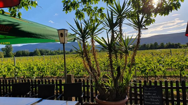 Hochzeitslocation Gutsschänke Holzhof