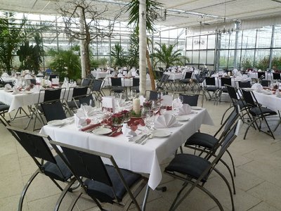 Haus der Rosen, Fellbacher Schnittrosen