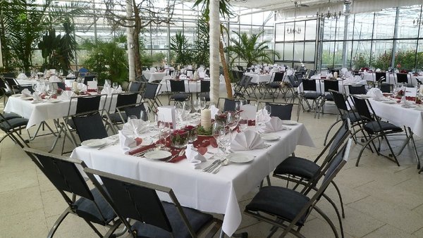 Hochzeitslocation Haus der Rosen, Fellbacher Schnittrosen