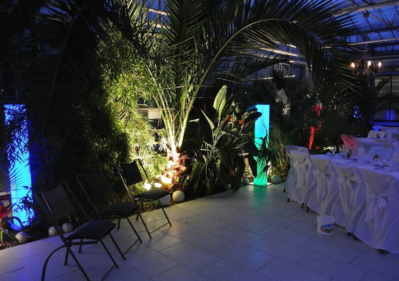 Hochzeitslocation Haus der Rosen, Fellbacher Schnittrosen