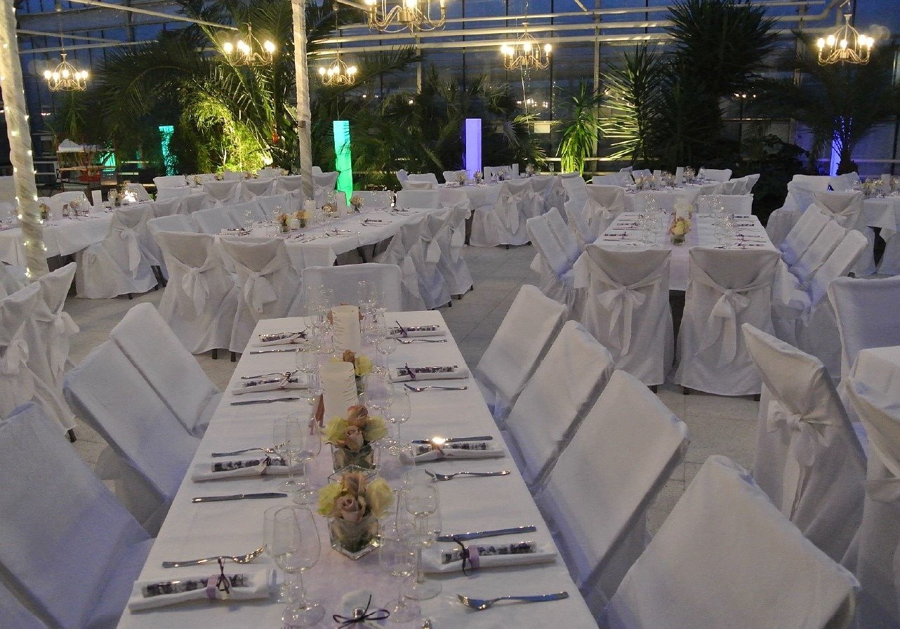 Hochzeitslocation Haus der Rosen, Fellbacher Schnittrosen