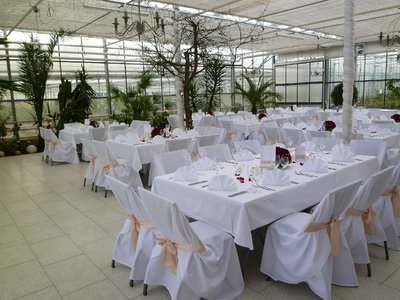 Haus der Rosen, Fellbacher Schnittrosen