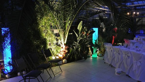 Hochzeitslocation Haus der Rosen, Fellbacher Schnittrosen