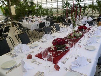 Haus der Rosen, Fellbacher Schnittrosen