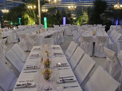 Haus der Rosen, Fellbacher Schnittrosen