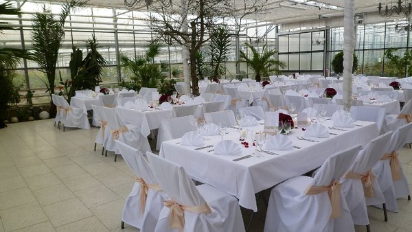 Hochzeitslocation Haus der Rosen, Fellbacher Schnittrosen