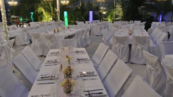 Hochzeitslocation Haus der Rosen, Fellbacher Schnittrosen