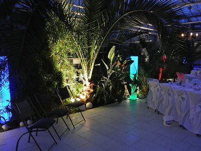 Haus der Rosen, Fellbacher Schnittrosen