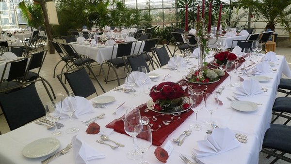 Hochzeitslocation Haus der Rosen, Fellbacher Schnittrosen