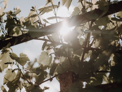 Klosterhotel Neuzelle & Restaurant Wilde Klosterküche