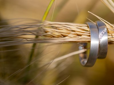 Lichtblicke Jula Welzk