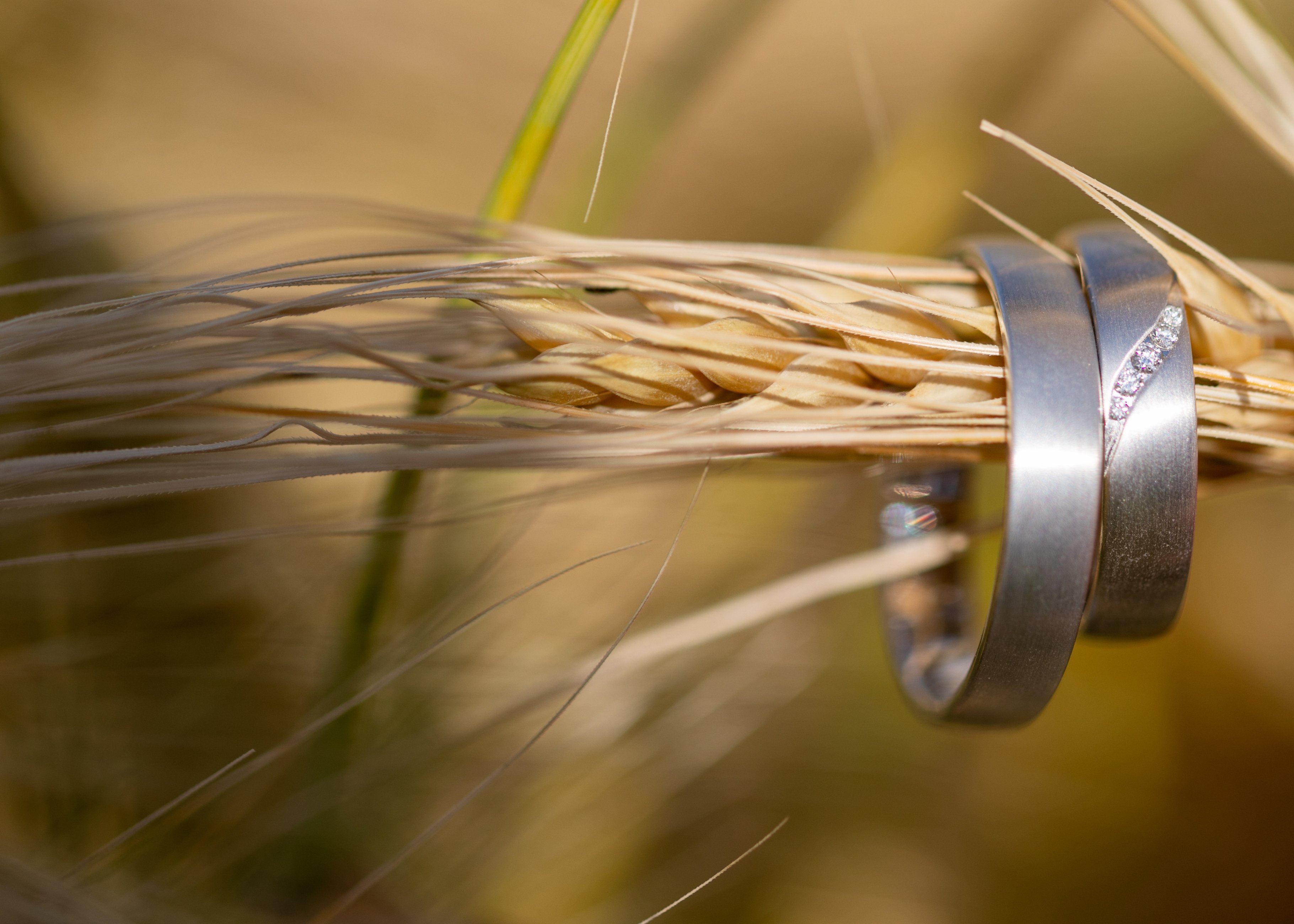 Hochzeitsfotograf Lichtblicke Jula Welzk