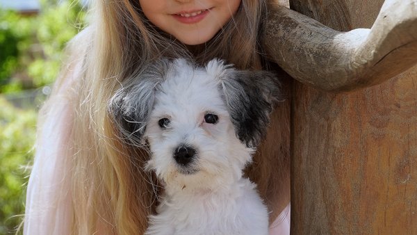 Hochzeitsfotograf Marcus Müller Foto-Digital-Studio