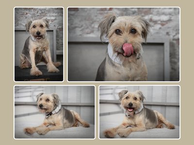 Marcus Müller Foto-Digital-Studio