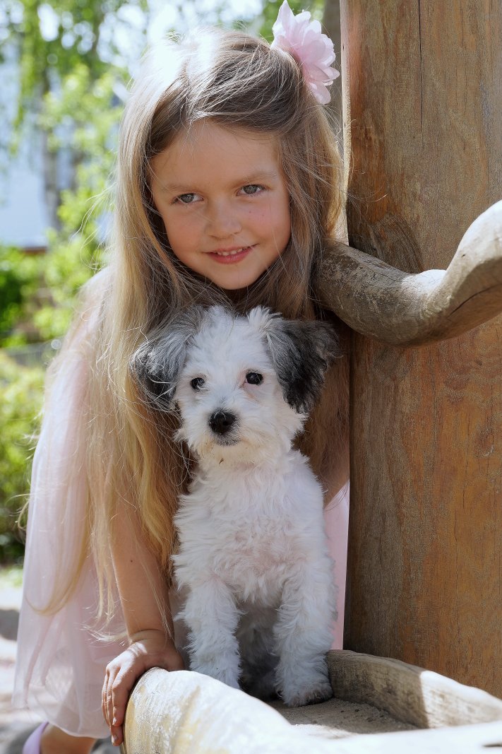 Hochzeitsfotograf Marcus Müller Foto-Digital-Studio