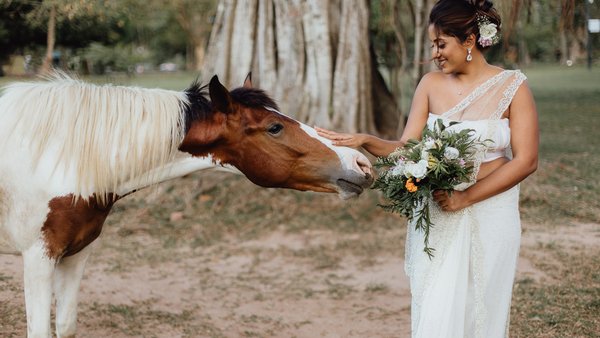 Hochzeitsfotograf Nora Peisger