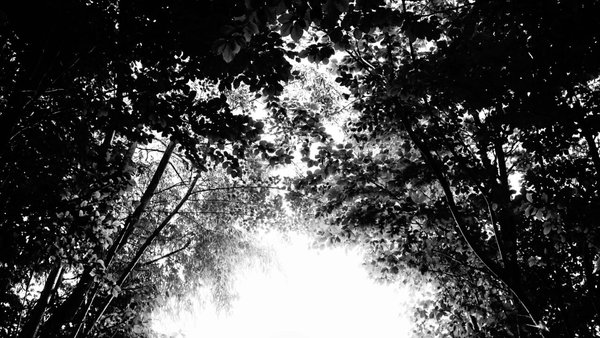 Hochzeitsfotograf Oentrich Fotografie