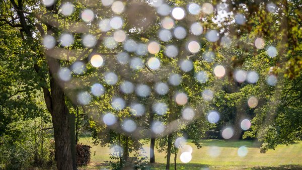 Hochzeitsfotograf Oliver Jablonski Photography