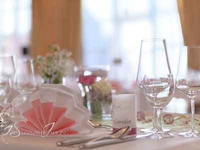 Pullman Stuttgart Fontana